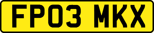 FP03MKX