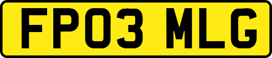 FP03MLG