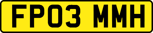 FP03MMH