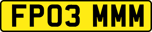 FP03MMM