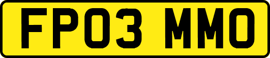 FP03MMO