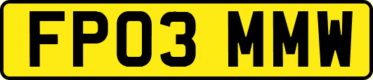 FP03MMW