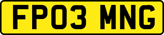 FP03MNG