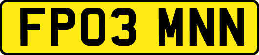 FP03MNN