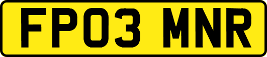 FP03MNR