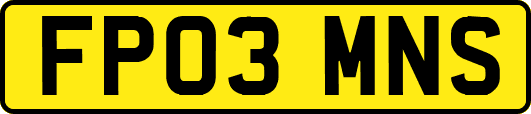 FP03MNS