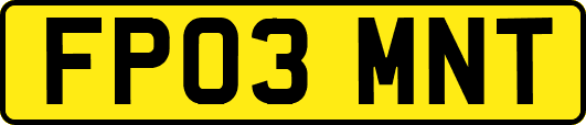 FP03MNT