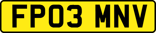 FP03MNV