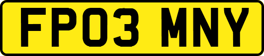 FP03MNY