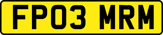 FP03MRM