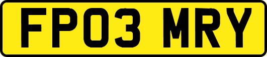 FP03MRY