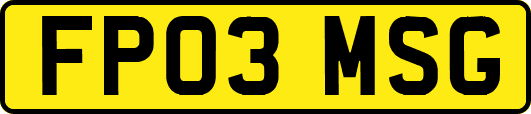FP03MSG