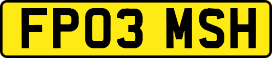 FP03MSH