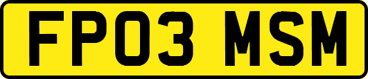 FP03MSM