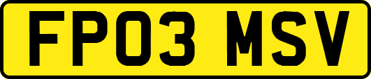 FP03MSV