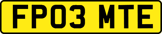 FP03MTE