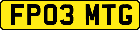 FP03MTG