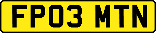 FP03MTN