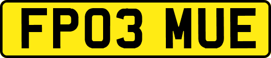 FP03MUE