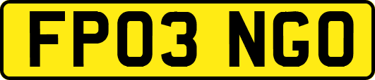 FP03NGO