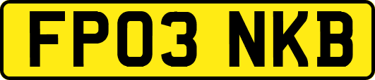 FP03NKB