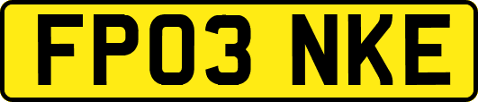 FP03NKE