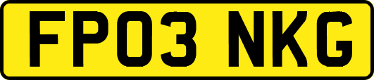 FP03NKG