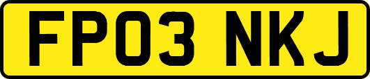 FP03NKJ