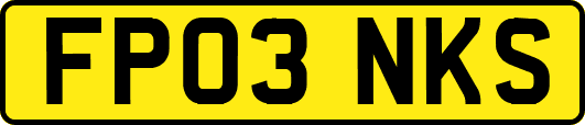 FP03NKS