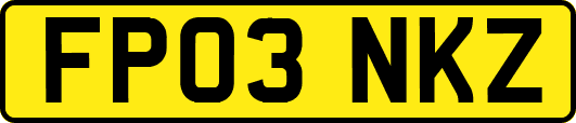 FP03NKZ