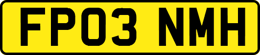 FP03NMH