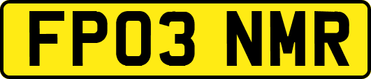 FP03NMR