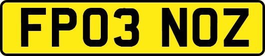 FP03NOZ