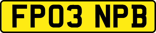FP03NPB