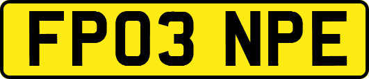 FP03NPE