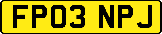FP03NPJ