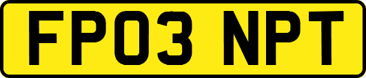 FP03NPT