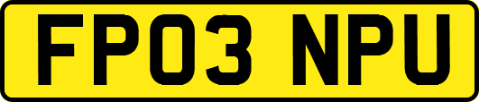 FP03NPU