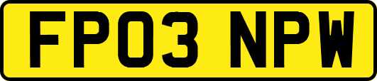 FP03NPW