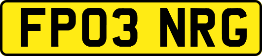 FP03NRG