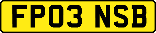 FP03NSB
