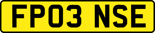 FP03NSE