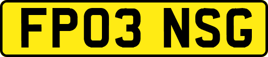 FP03NSG