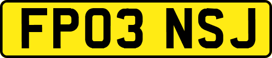 FP03NSJ