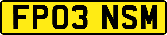 FP03NSM