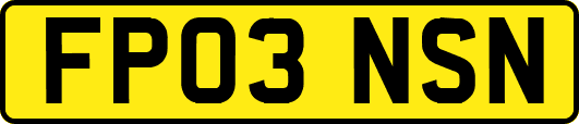 FP03NSN