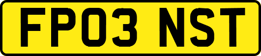 FP03NST