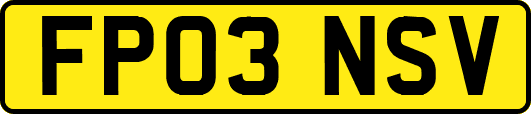 FP03NSV
