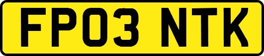 FP03NTK