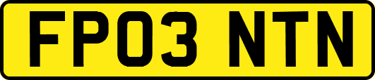 FP03NTN